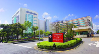 为何华为不自造芯片，连苹果、高通也依赖国产巨头代工？